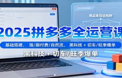 2025拼多多全运营课:基础搭建,强/弱付费/自然流,黑科技 + 切车/旺季爆单