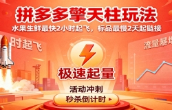 拼多多擎天柱玩法,水果生鲜最快2小时起飞,标品最慢2天起链接