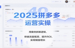 2025拼多多运营实操,用案例拆解逻辑,突破流量瓶颈、提升ROI,实现销量增