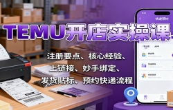 TEMU开店实操课:注册要点、核心经验、上链接、妙手绑定、发货贴标、预约快