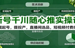 新号千川随心推实操课:全域起号,提投产,直播间选品,短视频付费拉爆