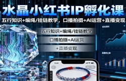 ˮСIPΣ֪ʶ+/ѧڲ+AIӪ+ֱ